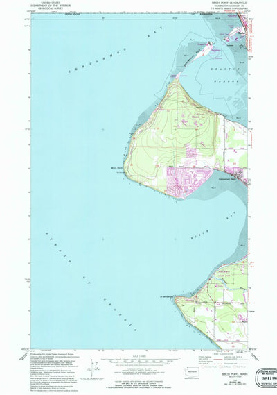 United States Geological Survey Birch Point, WA (1952, 24000-Scale) digital map