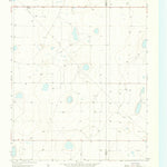 United States Geological Survey Bird Ranch Store, TX (1963, 24000-Scale) digital map