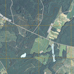 United States Geological Survey Birdsville, GA (2011, 24000-Scale) digital map