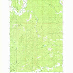 United States Geological Survey Birkenfeld, OR (1979, 24000-Scale) digital map