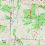United States Geological Survey Birnamwood, WI (1982, 24000-Scale) digital map