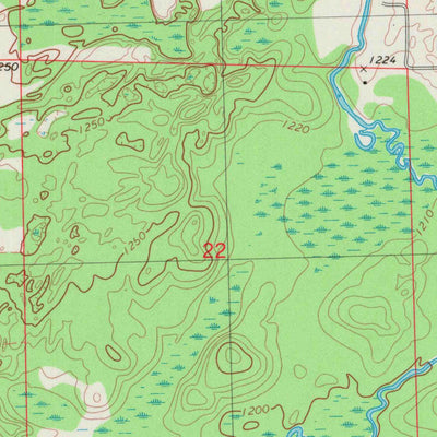 United States Geological Survey Birnamwood, WI (1982, 24000-Scale) digital map