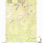United States Geological Survey Bison Mountain, MT (2001, 24000-Scale) digital map