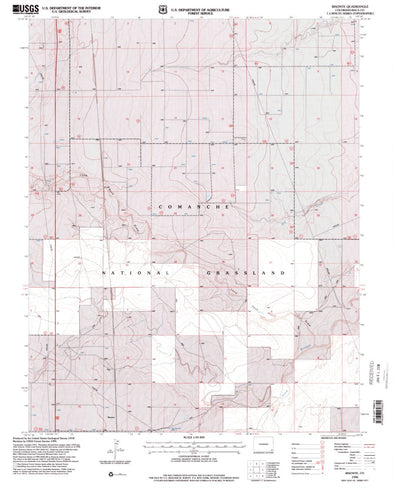United States Geological Survey Bisonte, CO (1996, 24000-Scale) digital map