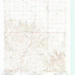 United States Geological Survey Bivins Channing Ranch, TX (1971, 24000-Scale) digital map