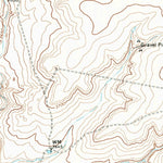 United States Geological Survey Bivins Channing Ranch, TX (1971, 24000-Scale) digital map