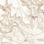 United States Geological Survey Bivins Channing Ranch, TX (1971, 24000-Scale) digital map