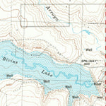 United States Geological Survey Bivins Lake, TX (1984, 24000-Scale) digital map