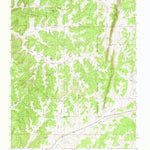 United States Geological Survey Bixler Ranch, NM (1963, 24000-Scale) digital map