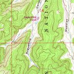 United States Geological Survey Bixler Ranch, NM (1963, 24000-Scale) digital map