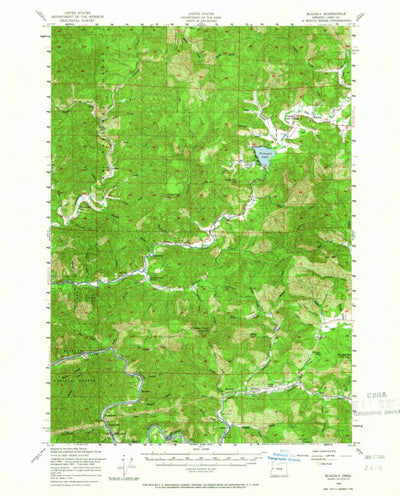 United States Geological Survey Blachly, OR (1956, 62500-Scale) digital map