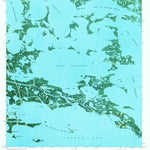United States Geological Survey Black Bay North, LA (1973, 24000-Scale) digital map