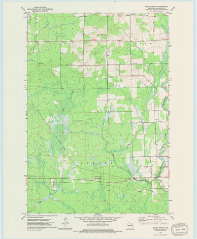 United States Geological Survey Black Brook, WI (1973, 24000-Scale) digital map