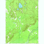 United States Geological Survey Black Creek, MI (1949, 24000-Scale) digital map