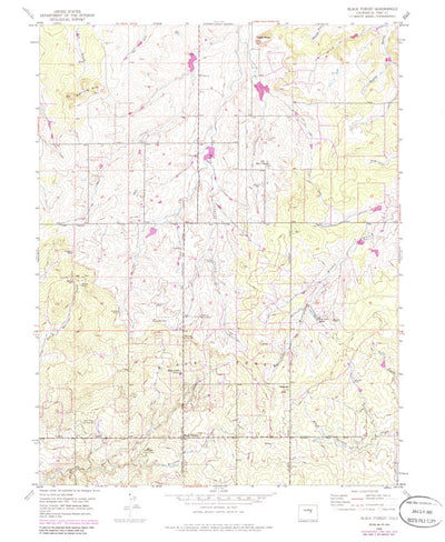 United States Geological Survey Black Forest, CO (1954, 24000-Scale) digital map
