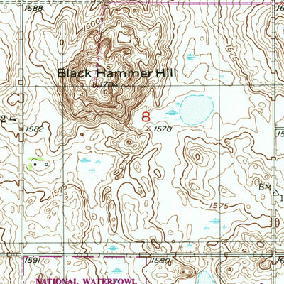 United States Geological Survey Black Hammer Hill, ND (1951, 24000-Scale) digital map