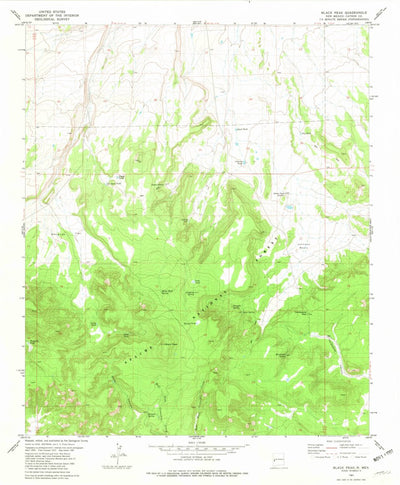 United States Geological Survey Black Hill, NM (1981, 24000-Scale) digital map