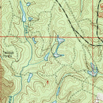 United States Geological Survey Black Pond, AL (2000, 24000-Scale) digital map