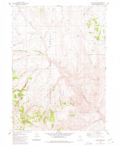 United States Geological Survey Black Ridge, NV (1980, 24000-Scale) digital map