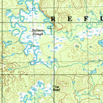 United States Geological Survey Black River, AK (1956, 250000-Scale) digital map