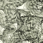 United States Geological Survey Black Steer Canyon, UT (1954, 24000-Scale) digital map