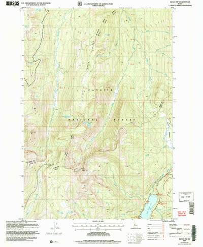 United States Geological Survey Black Tip, ID (2004, 24000-Scale) digital map