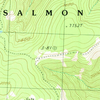 United States Geological Survey Blackbird Creek, ID (1989, 24000-Scale) digital map