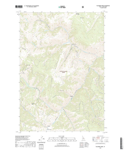 United States Geological Survey Blackbird Creek, ID (2020, 24000-Scale) digital map