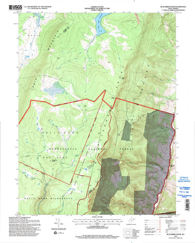 United States Geological Survey Blackbird Knob, WV (1995, 24000-Scale) digital map