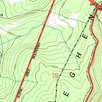 United States Geological Survey Blackbird Knob, WV (1995, 24000-Scale) digital map