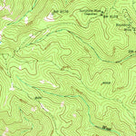 United States Geological Survey Blackbird Mountain, ID (1950, 62500-Scale) digital map