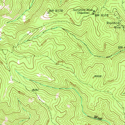 United States Geological Survey Blackbird Mountain, ID (1950, 62500-Scale) digital map