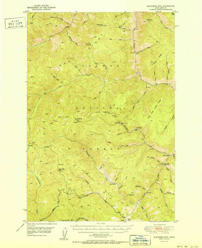 United States Geological Survey Blackbird Mountain, ID (1951, 62500-Scale) digital map
