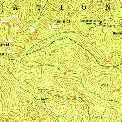 United States Geological Survey Blackbird Mountain, ID (1951, 62500-Scale) digital map
