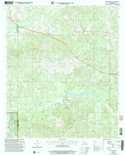 United States Geological Survey Blackburn, LA (2003, 24000-Scale) digital map