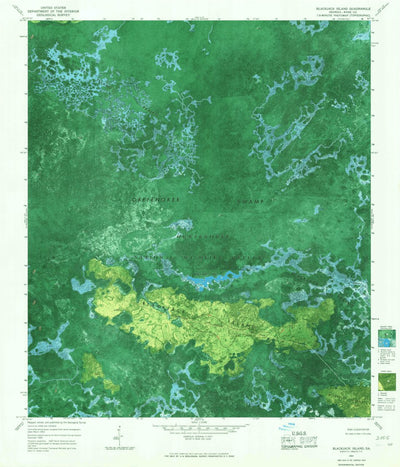 United States Geological Survey Blackjack Island, GA (1965, 24000-Scale) digital map