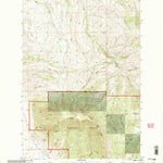United States Geological Survey Blacktail Mountain, MT (2000, 24000-Scale) digital map
