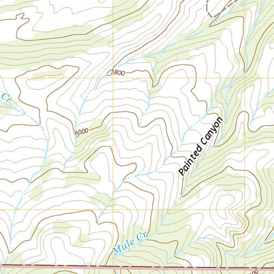 United States Geological Survey Blacktail Mountain, MT (2020, 24000-Scale) digital map