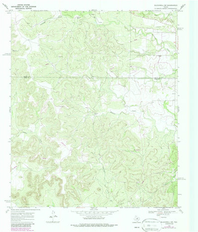 United States Geological Survey Blackwell SW, TX (1969, 24000-Scale) digital map