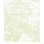United States Geological Survey Blackwell SW, TX (2022, 24000-Scale) digital map
