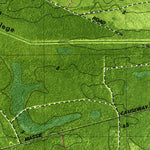 United States Geological Survey Bladen, GA (1980, 24000-Scale) digital map
