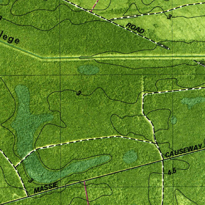 United States Geological Survey Bladen, GA (1980, 24000-Scale) digital map