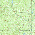 United States Geological Survey Blancas Creek South, TX (1980, 24000-Scale) digital map