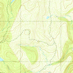 United States Geological Survey Blanket Springs, TX (1979, 24000-Scale) digital map