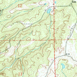 United States Geological Survey Bleecker, AL (1965, 24000-Scale) digital map