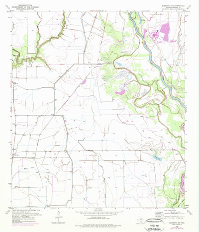 United States Geological Survey Blessing SE, TX (1952, 24000-Scale) digital map