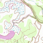 United States Geological Survey Blessing SE, TX (1952, 24000-Scale) digital map
