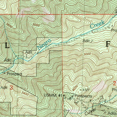 United States Geological Survey Blewett, WA (2003, 24000-Scale) digital map