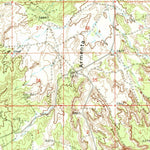 United States Geological Survey Bloomfield, NM (1960, 62500-Scale) digital map