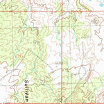 United States Geological Survey Bloomfield, NM (1985, 24000-Scale) digital map
